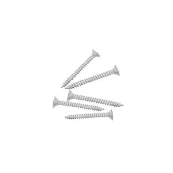 UDF Screw 19x6 mm 